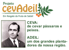 Projeto CevAdeil